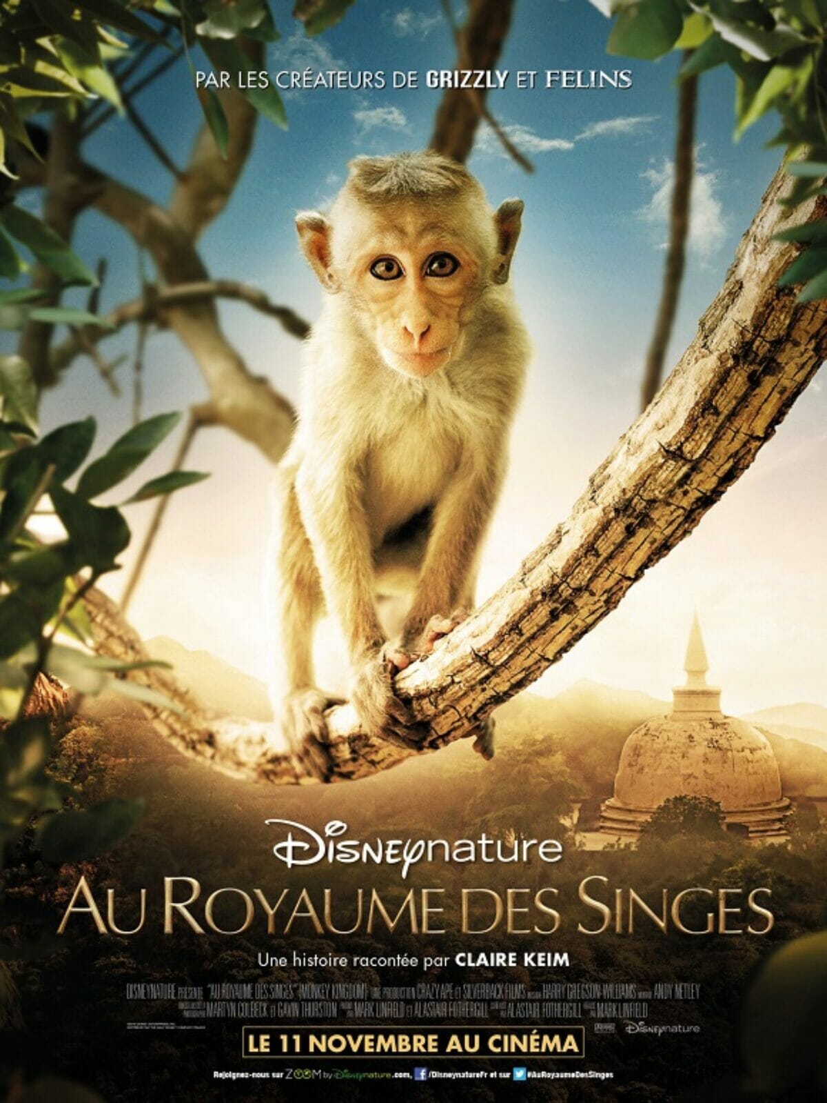 Au-Royaume-des-Singes-poster