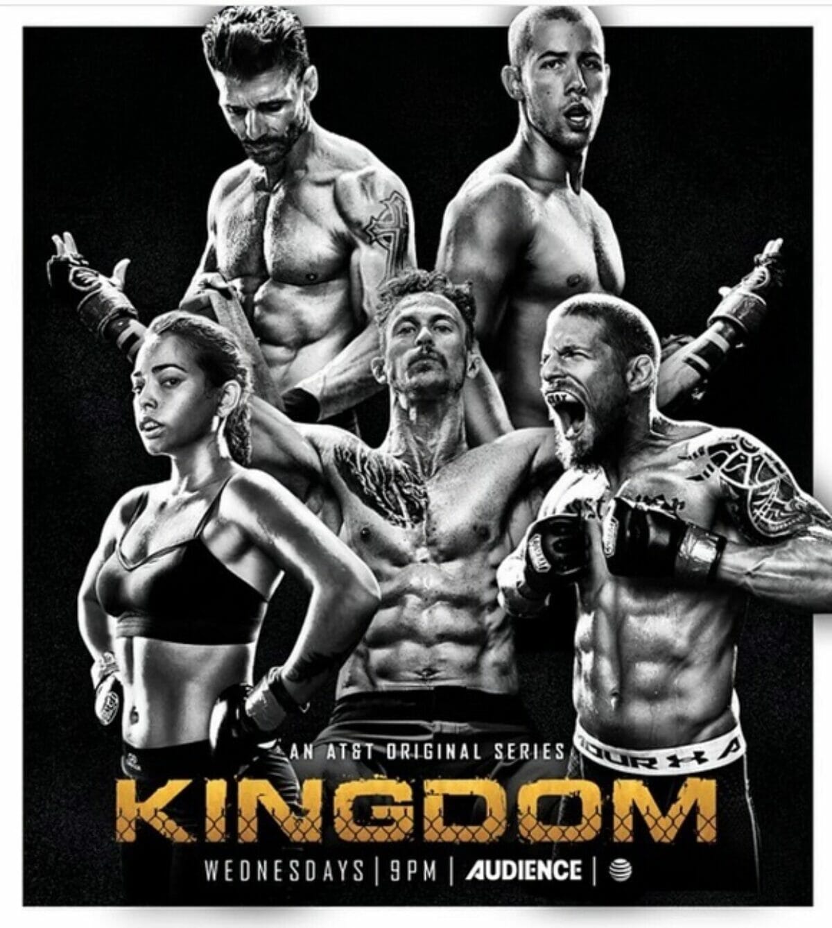kingdom-saison2-part2-poster
