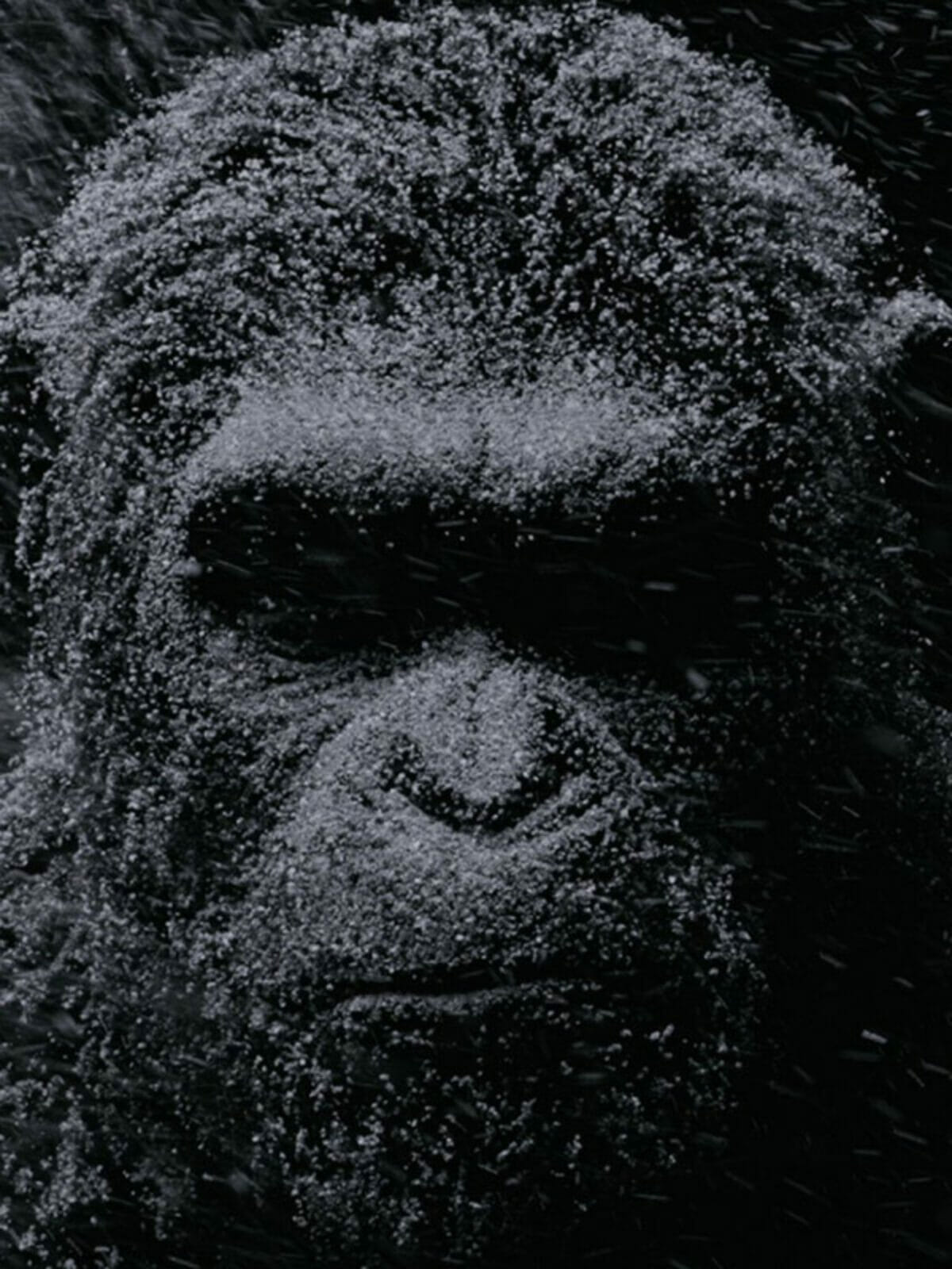 la-planete-des-singes-suprematie-poster-cesar