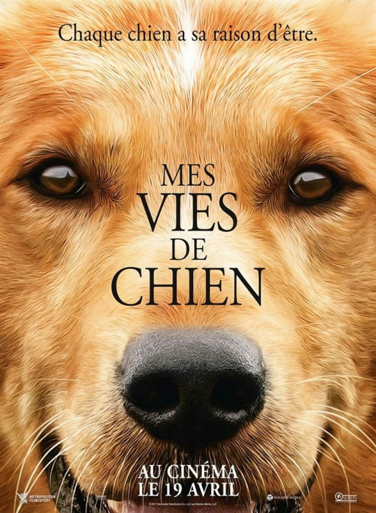 Mes-vies-de-chien-poster
