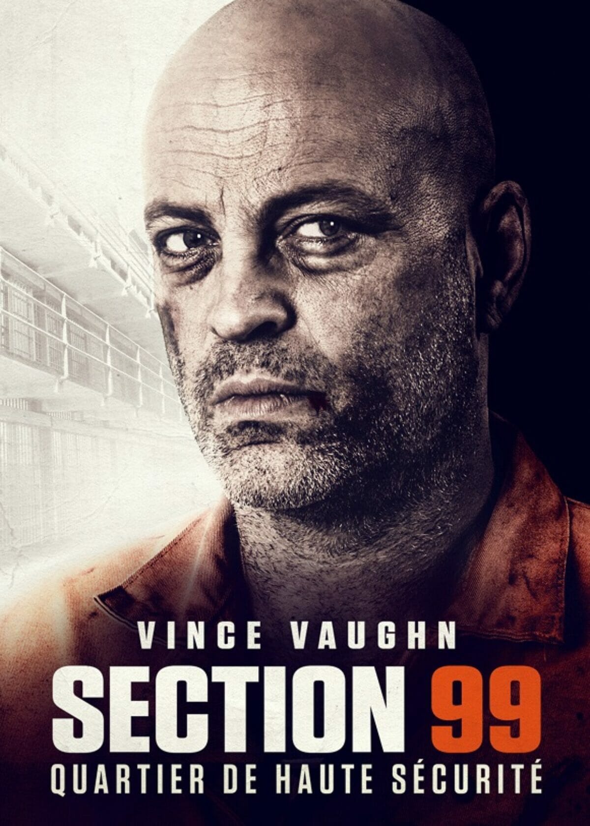 Section-99-poster