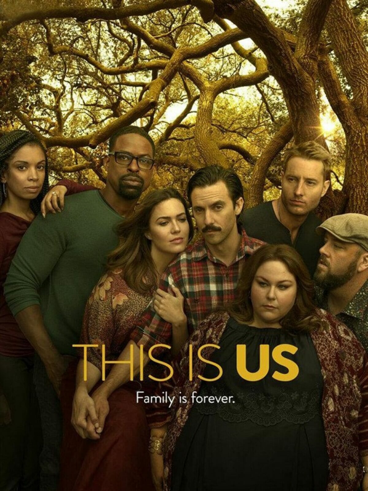 This-is-Us-saison3-poster