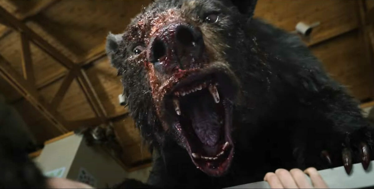 Crazy Bear